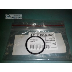 E0500003011 Прокладка помпы воды Geely CK/CK2