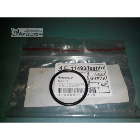 E050000301 Прокладка помпы воды Geely CK/CK2